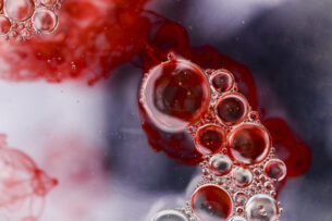 L’assimilazione dell’ossigeno nel tratto gastrointestinale